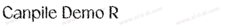 Canpile Demo R字体转换